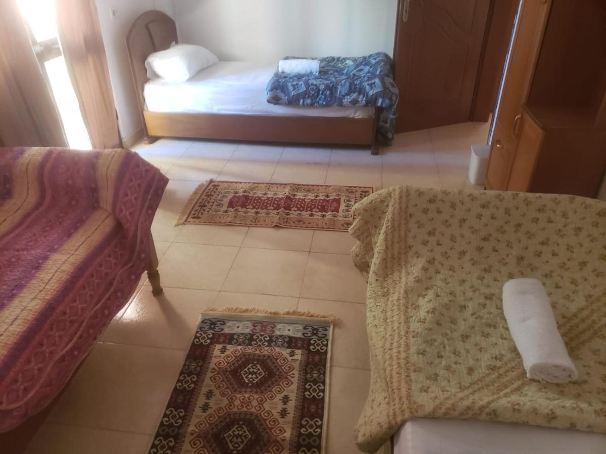 טיראנה Hostel Split Rock מראה חיצוני תמונה